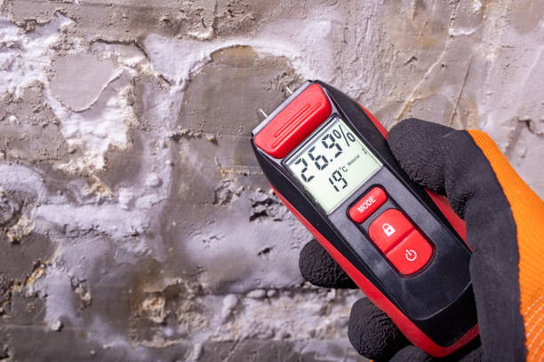 Best Certified Mold Removal  in Rockville, MN