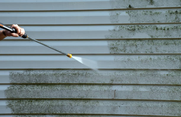 Best Toxic Mold Removal  in Rockville, MN
