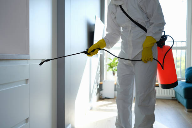 Rockville, MN Mold Removal Company