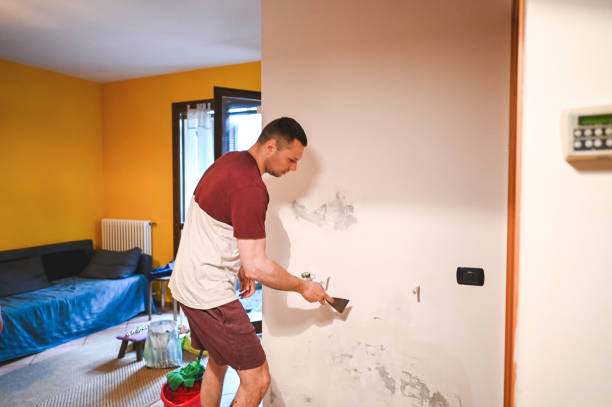 Mold Removal Process in Rockville, MN